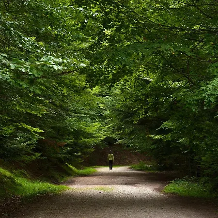 アパート Jardin De Saras By Bevalle