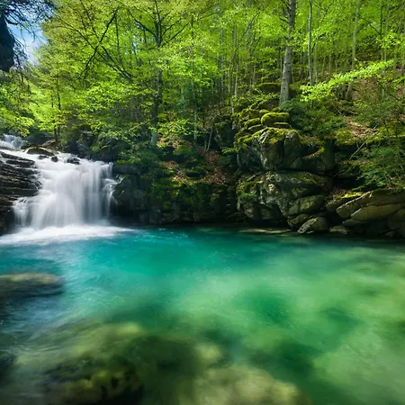 Jardin De Saras By Bevalle *