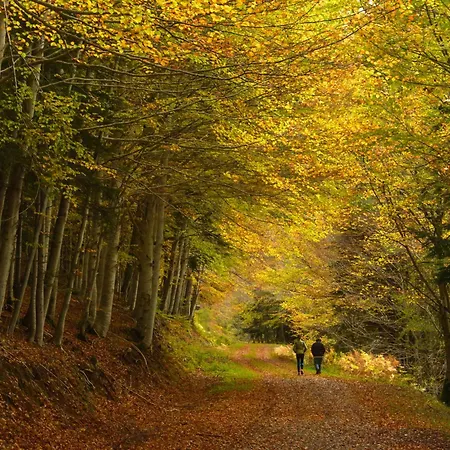 Jardin De Saras By Bevalle *