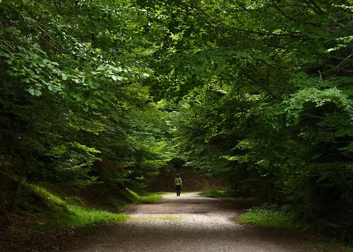 アパート Jardin De Saras By Bevalle