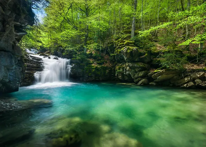 Jardin De Saras By Bevalle *