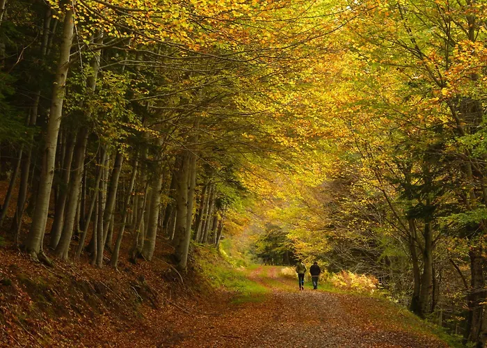 Jardin De Saras By Bevalle *